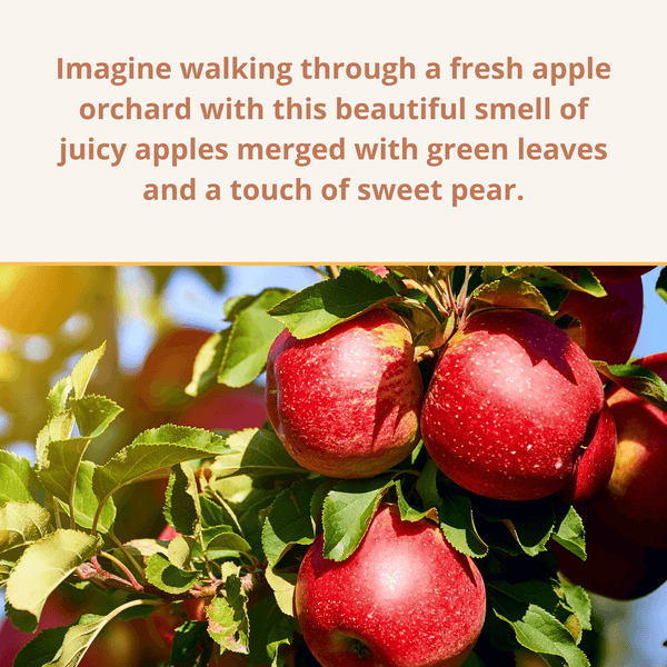Orchard Walk - Room Spray - Kermode